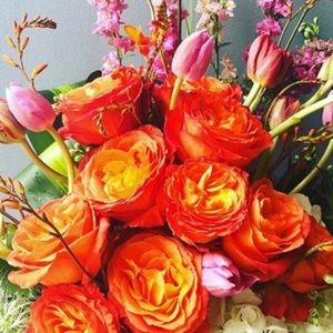 Meet your Posher, Robyn